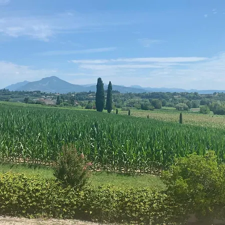 乡村民宿 乐考斯特住宿加早餐旅馆