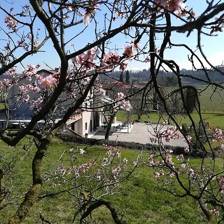 乐考斯特住宿加早餐旅馆 *